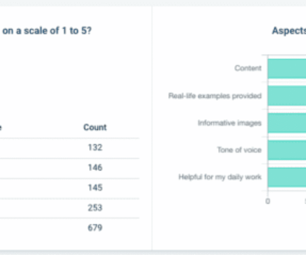 survey report example