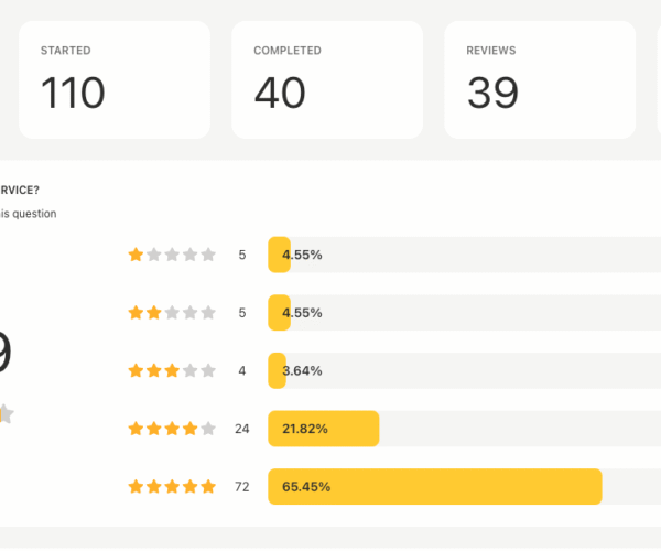 survey report overview