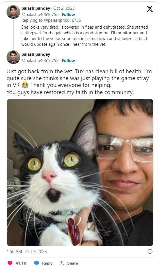 Screenshot from Twitter thread on the Lyft cat case